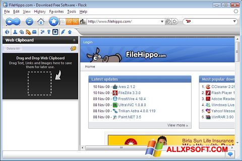 Скріншот Flock для Windows XP