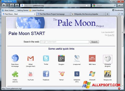 Скріншот Pale Moon для Windows XP