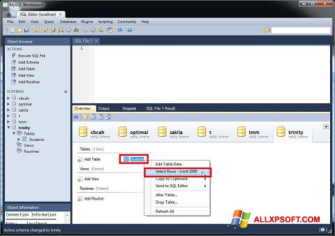 Скріншот MySQL Workbench для Windows XP