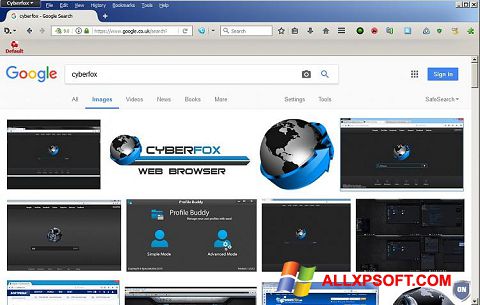 Скріншот Cyberfox для Windows XP