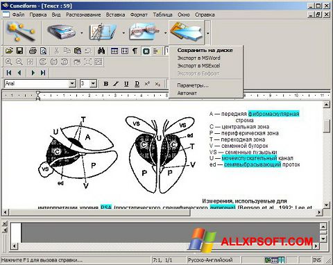 Скріншот CuneiForm для Windows XP