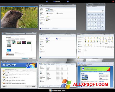 Скріншот Dexpot для Windows XP