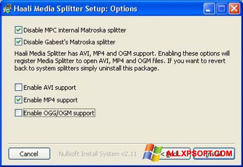 Скріншот Haali Media Splitter для Windows XP