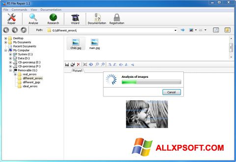 Скріншот RS File Recovery для Windows XP