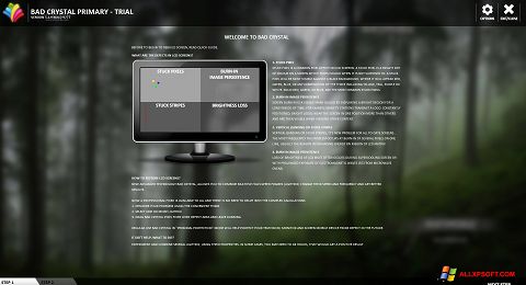 Скріншот Bad Crystal для Windows XP