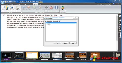 Скріншот Snagit для Windows XP