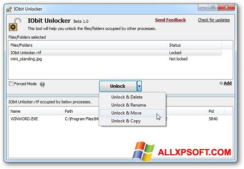 Скріншот IObit Unlocker для Windows XP