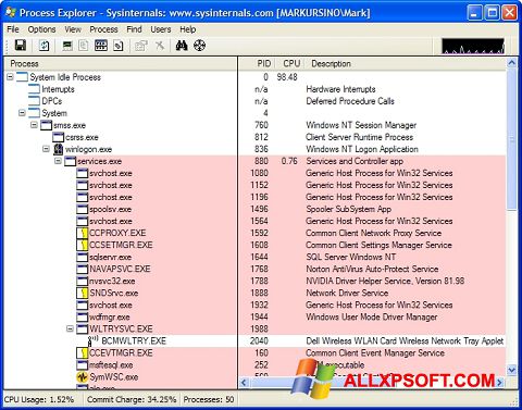 Скріншот Process Explorer для Windows XP
