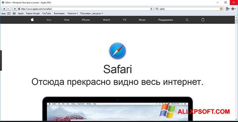 Скріншот Safari для Windows XP