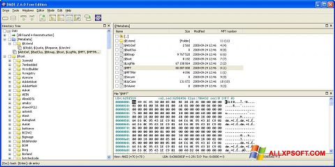 Скріншот DMDE для Windows XP
