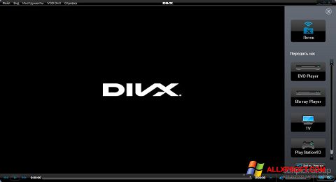 Скріншот DivX Player для Windows XP